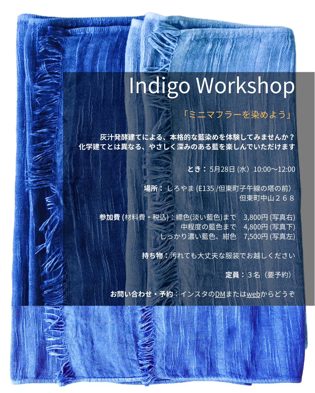 Indigo Workshop