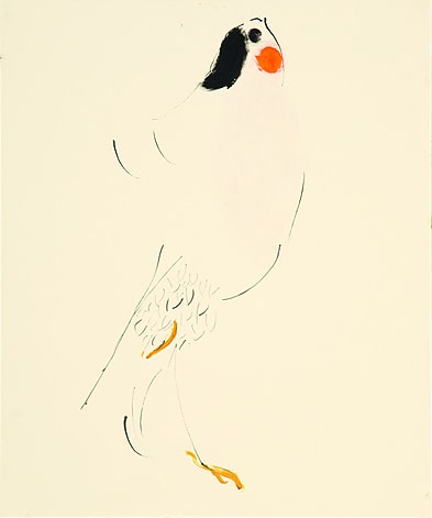 Vogel